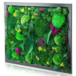 Amazon Photography - Natural Wall Art Moss Decorations - Hero - 2